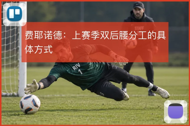 费耶诺德:上赛季双后腰分工的具体方式