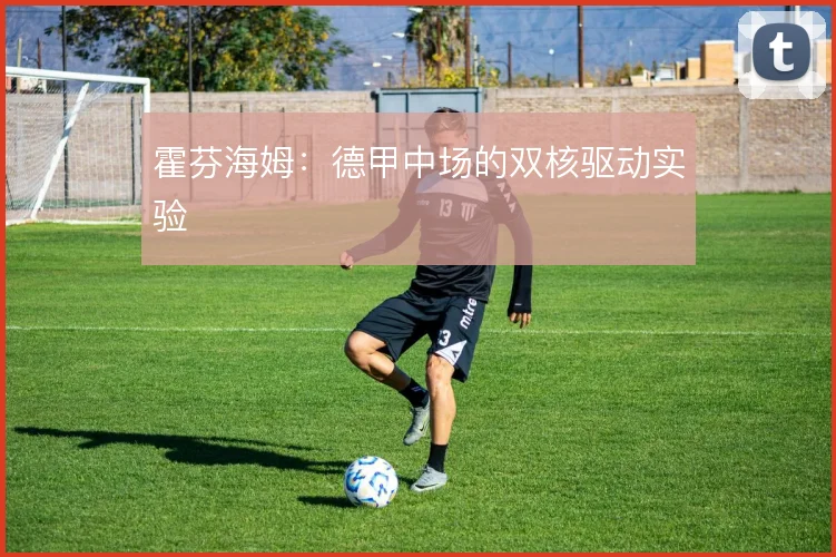霍芬海姆：德甲中场的双核驱动实验